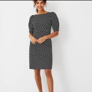 NWT Ann Taylor Polka Dot Pleated Puff Sleeve Sheath Dress